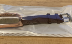 Mi Band 5 待ちきれずGlobal版購入