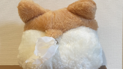 アリエク第２弾到着　小物類ご紹介