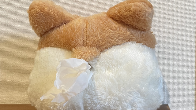 アリエク第２弾到着　小物類ご紹介