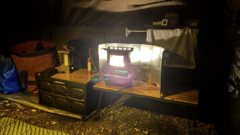 西湖の平日キャンプはサイコー